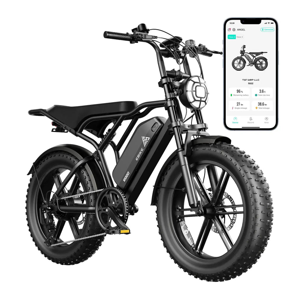 LE ROUTARD - Vélo Électrique