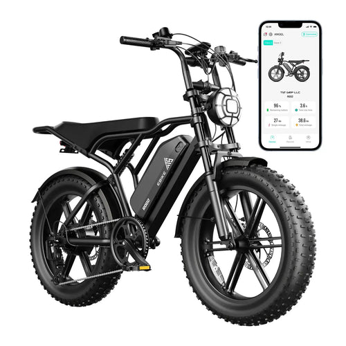 LE ROUTARD – Fat bike électrique 250 W