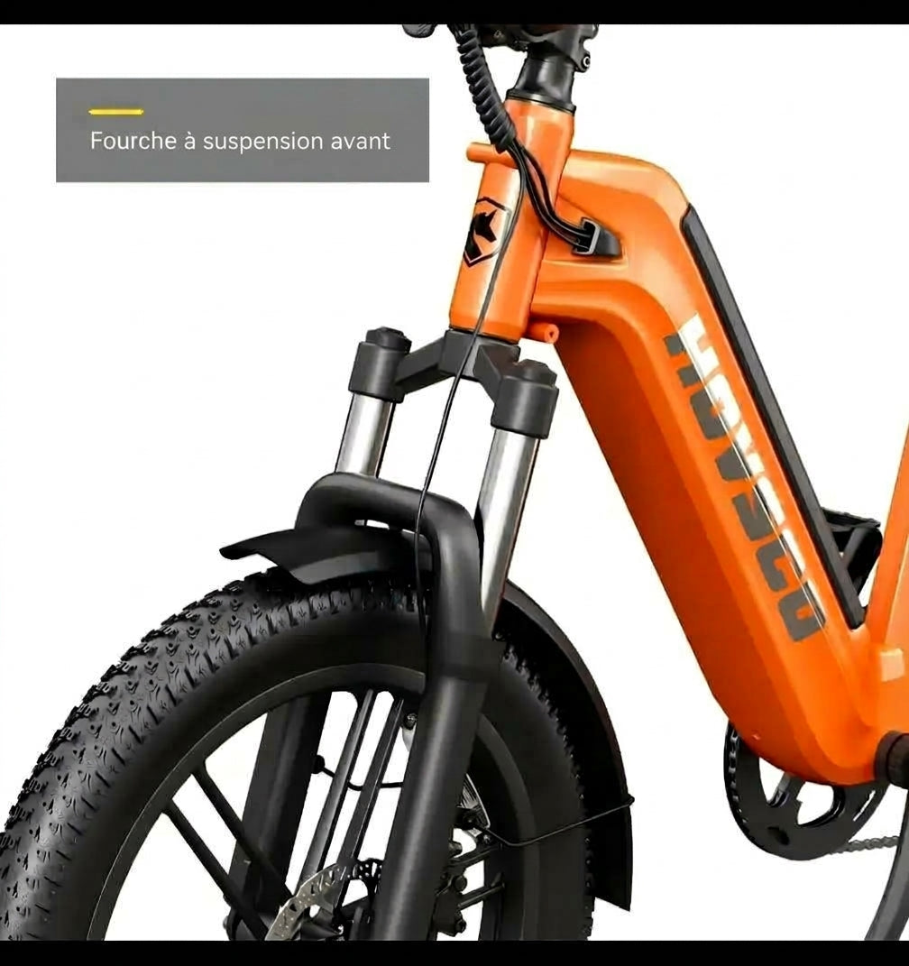 LE TRIBU – Vélo cargo électrique acier