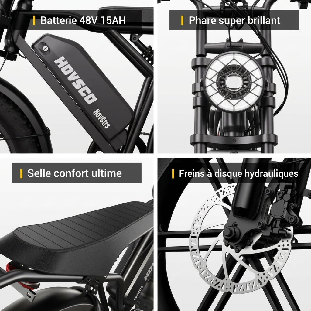 LE ROUTARD – Fat bike électrique 250 W