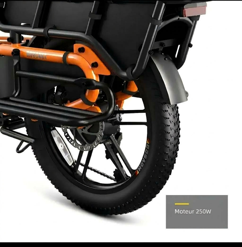 LE TRIBU – Vélo cargo électrique acier