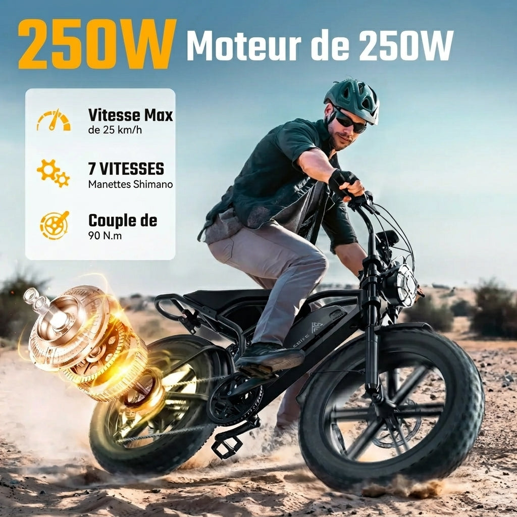 LE ROUTARD – Fat bike électrique 250 W