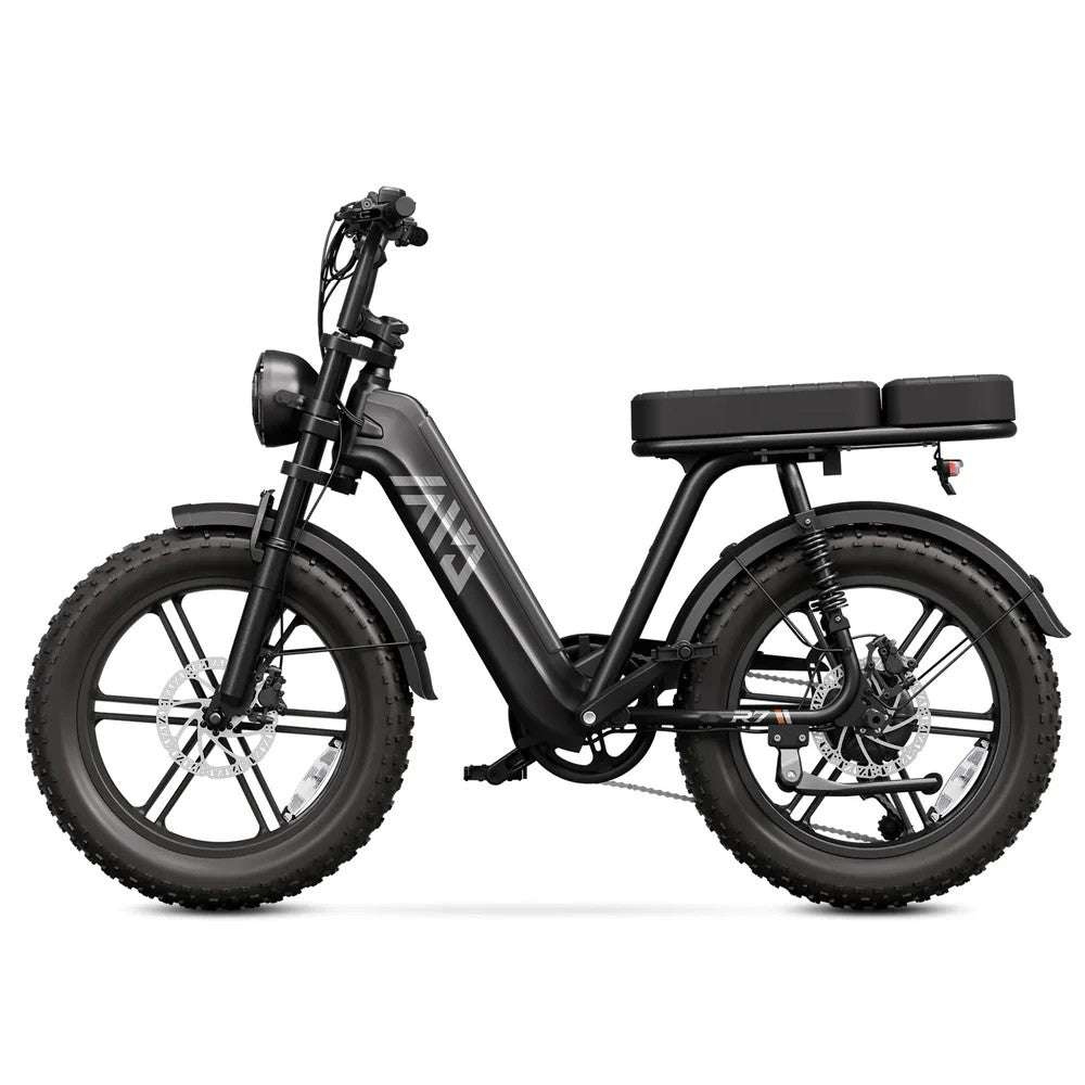 LE ROBUSTE - Vélo Électrique