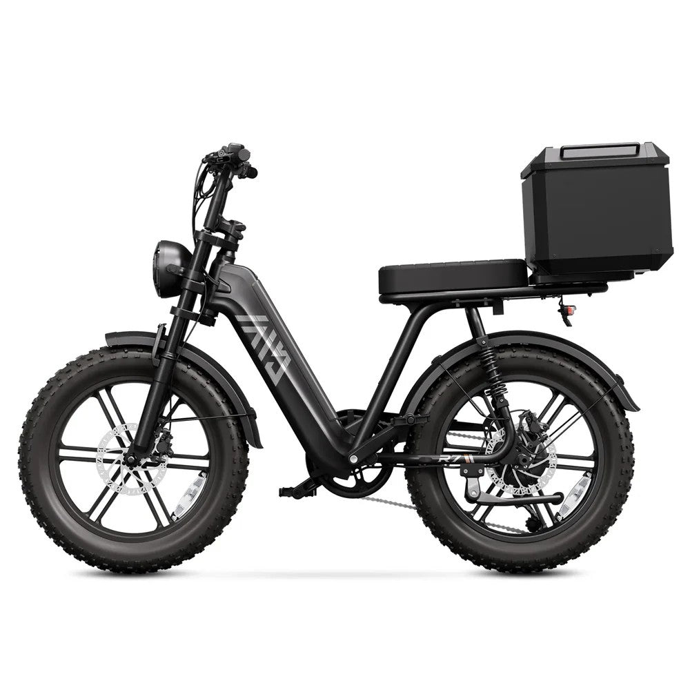 LE ROBUSTE - Vélo Électrique
