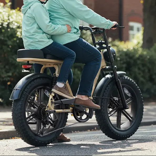 LE ROBUSTE - Vélo Électrique